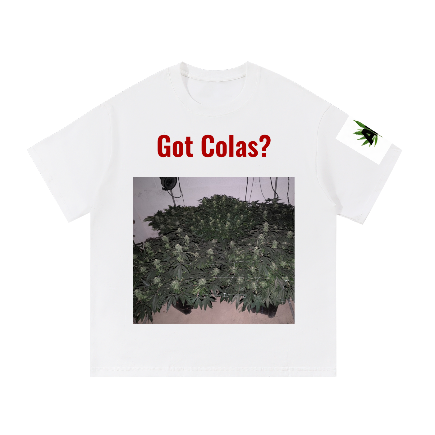 Essential Cotton T-Shirt