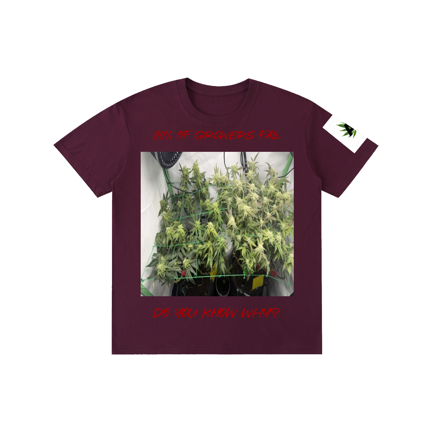 Pure Cotton Unisex T-Shirt