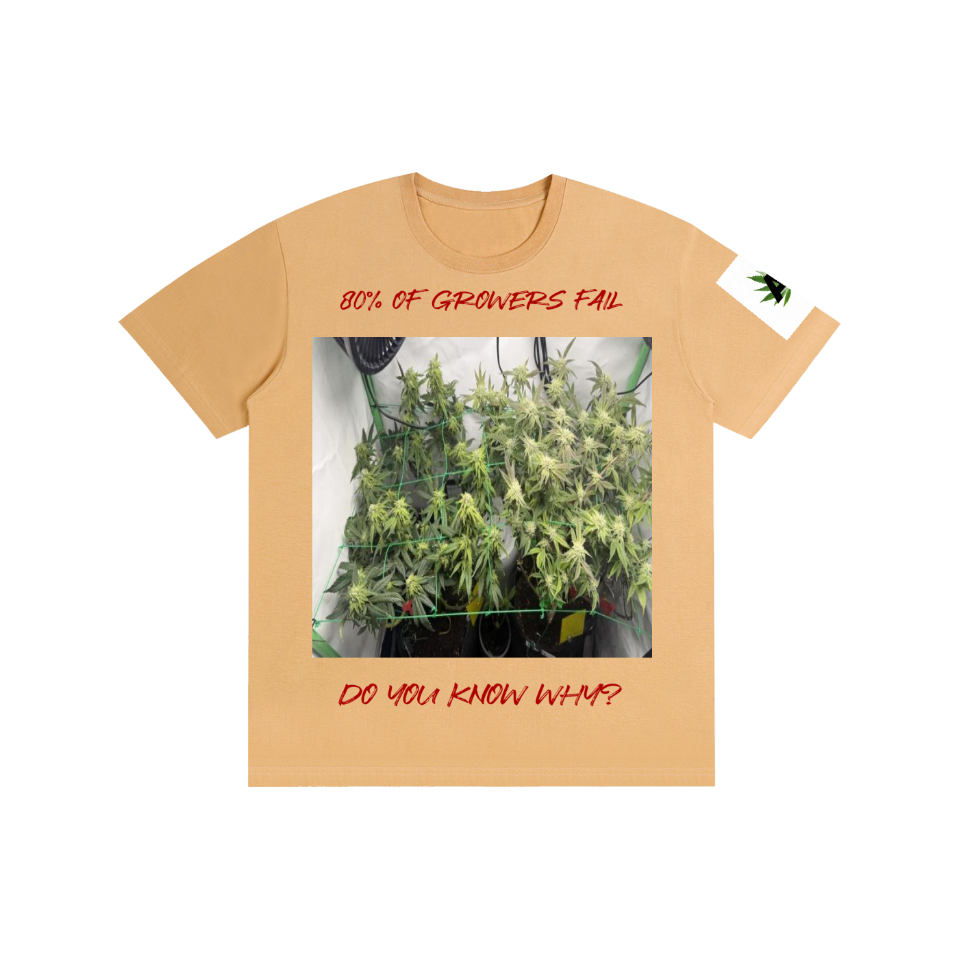 Pure Cotton Unisex T-Shirt