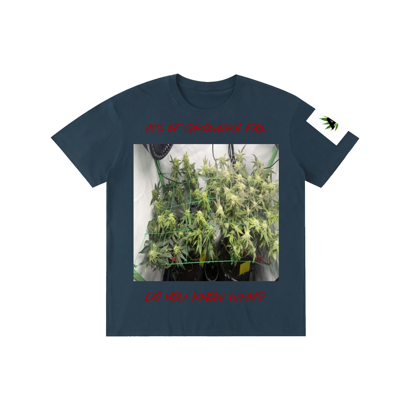 Pure Cotton Unisex T-Shirt
