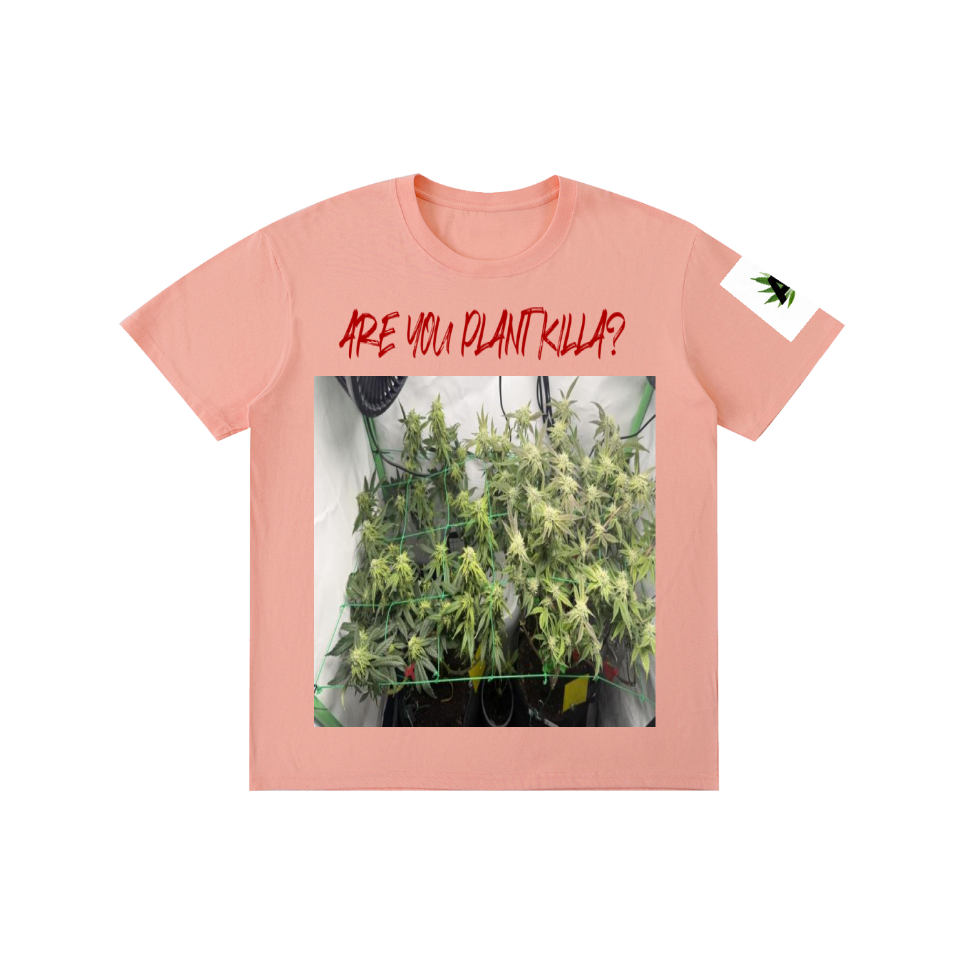 Pure Cotton Unisex T-Shirt