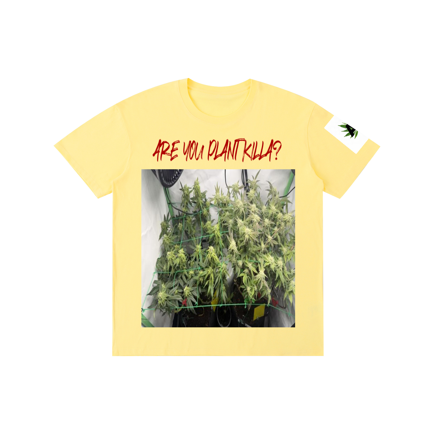 Pure Cotton Unisex T-Shirt
