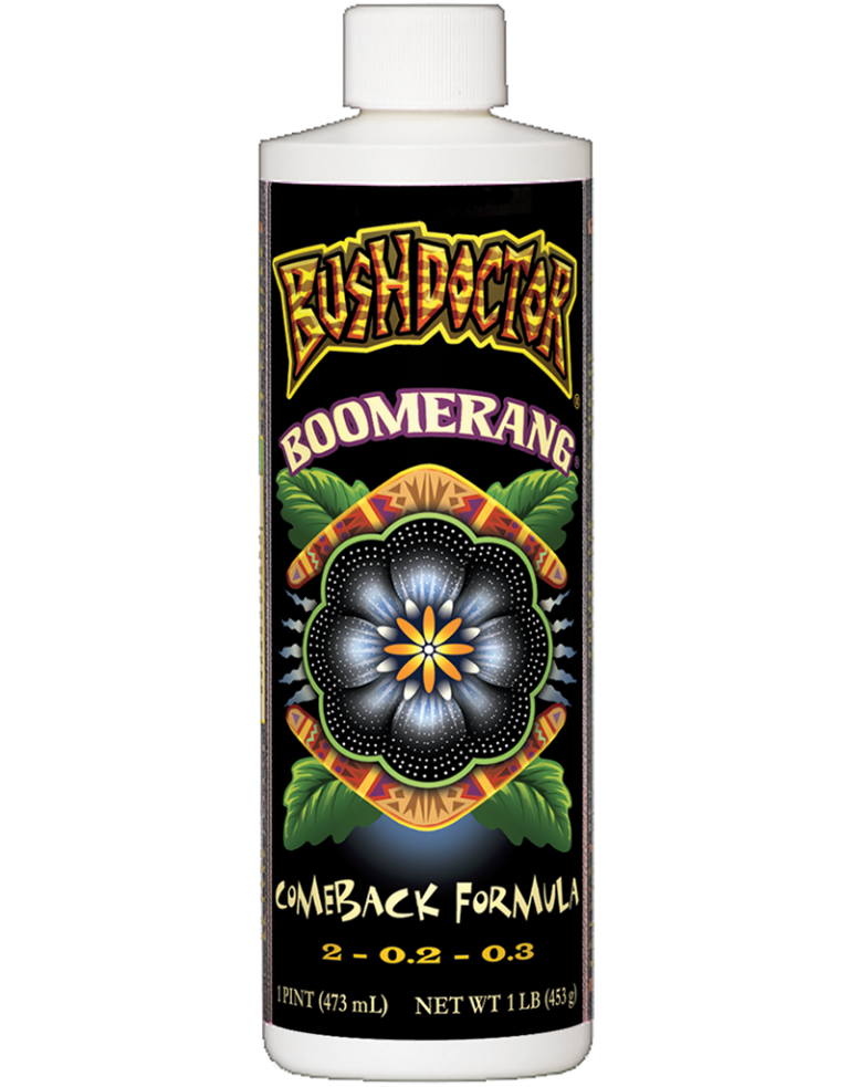Bush Doctor Boomerang