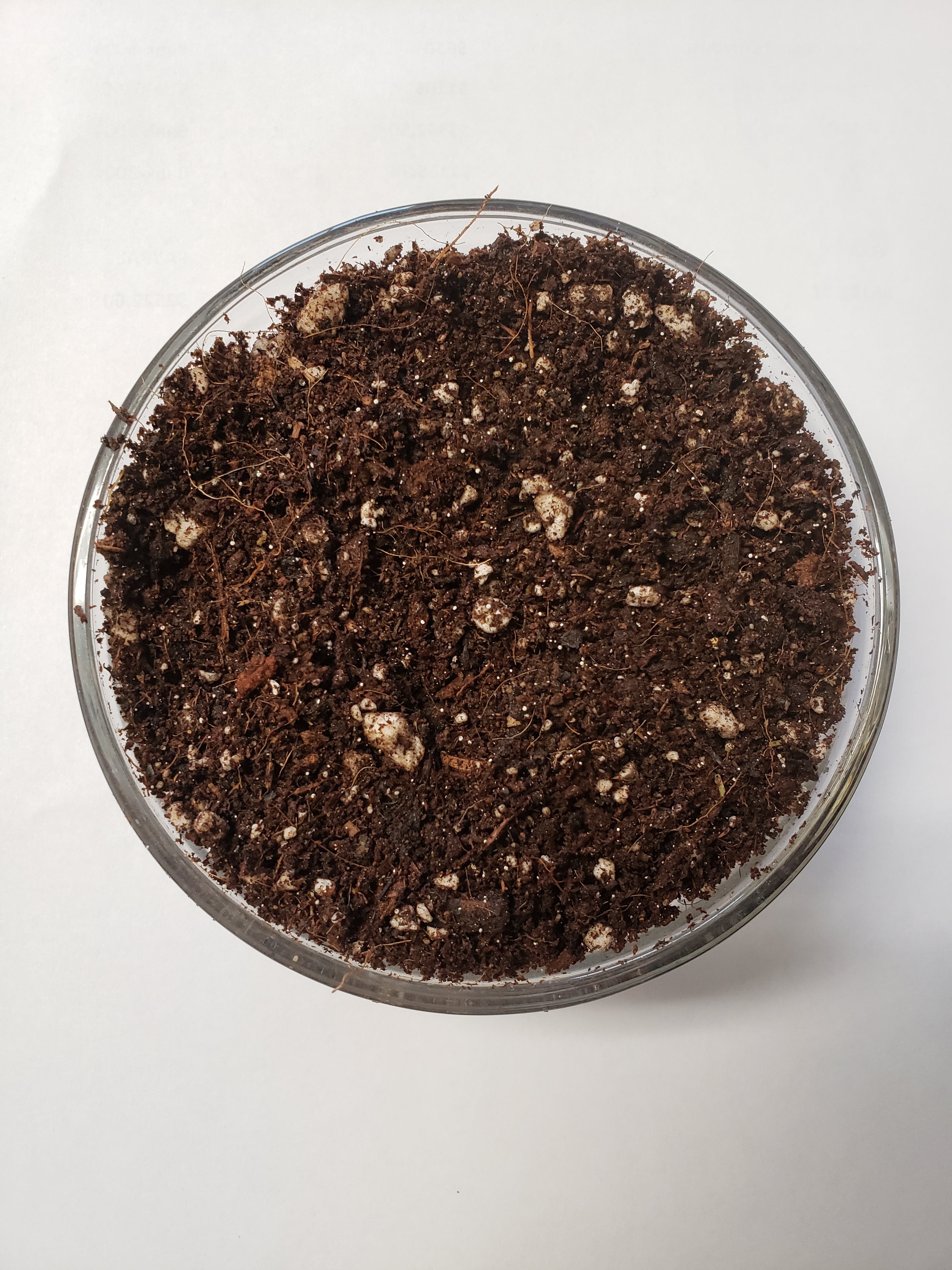 Organic Gardening