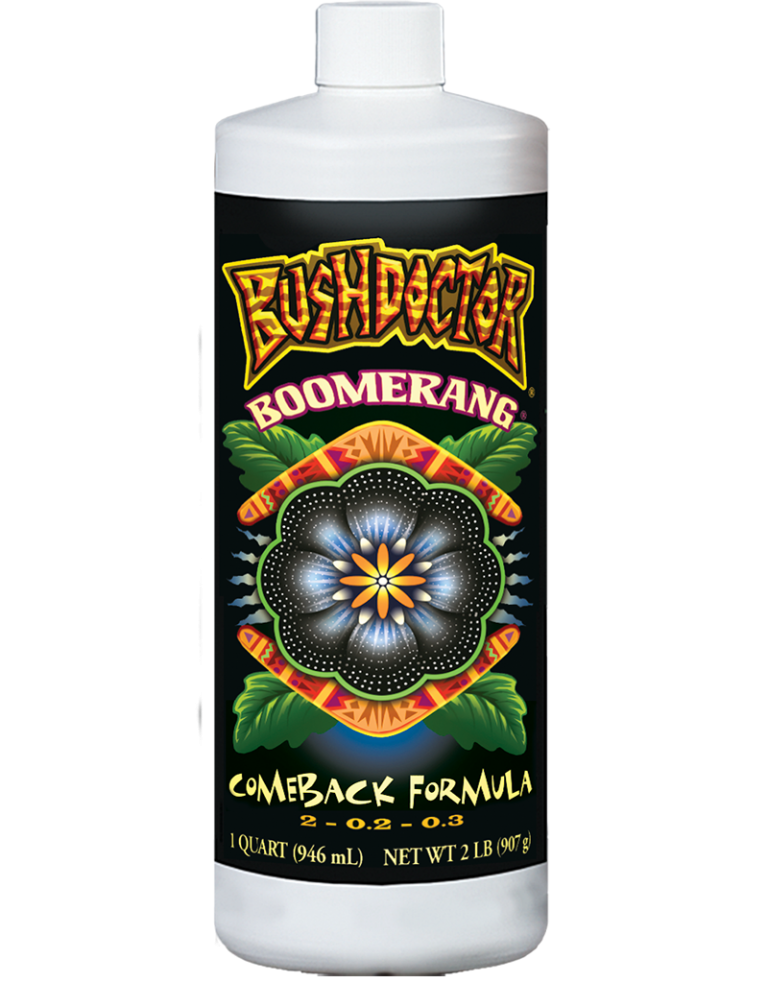 Bush Doctor Boomerang