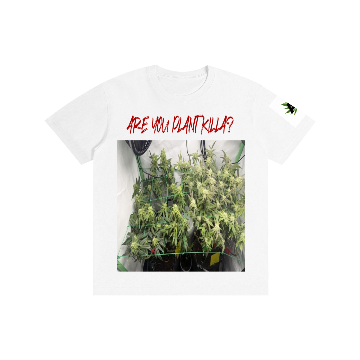 Pure Cotton Unisex T-Shirt