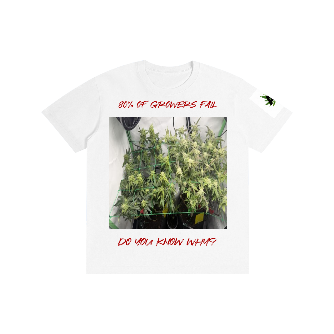 Pure Cotton Unisex T-Shirt