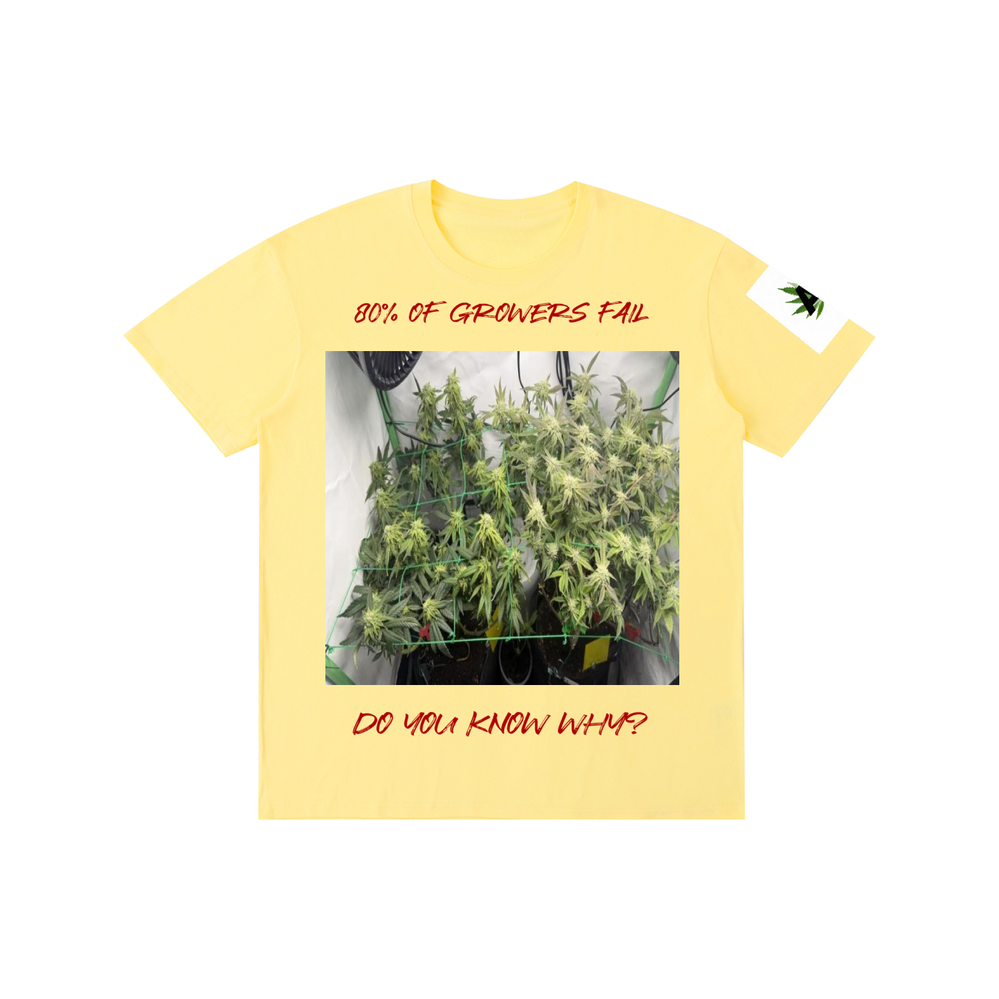 Pure Cotton Unisex T-Shirt