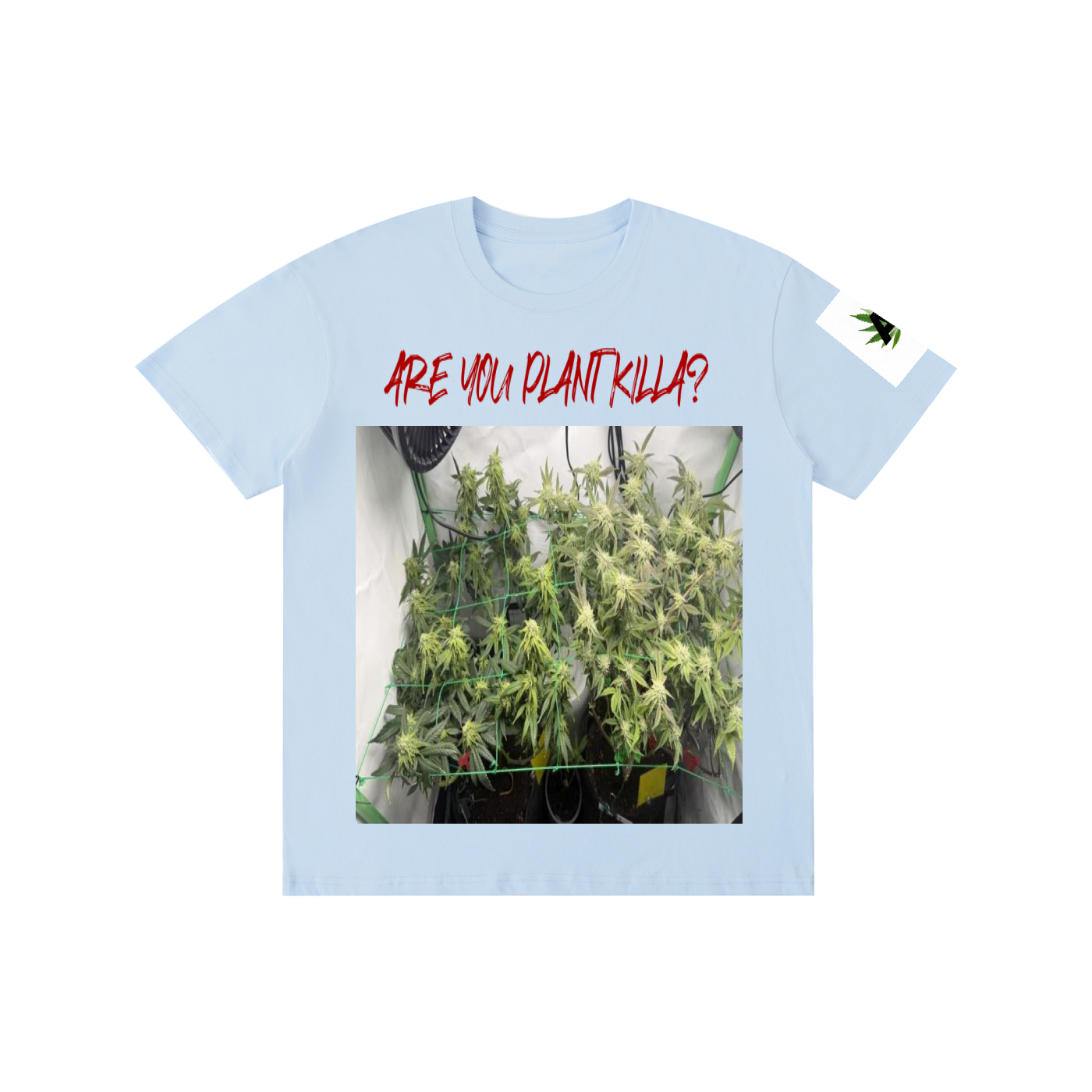 Pure Cotton Unisex T-Shirt