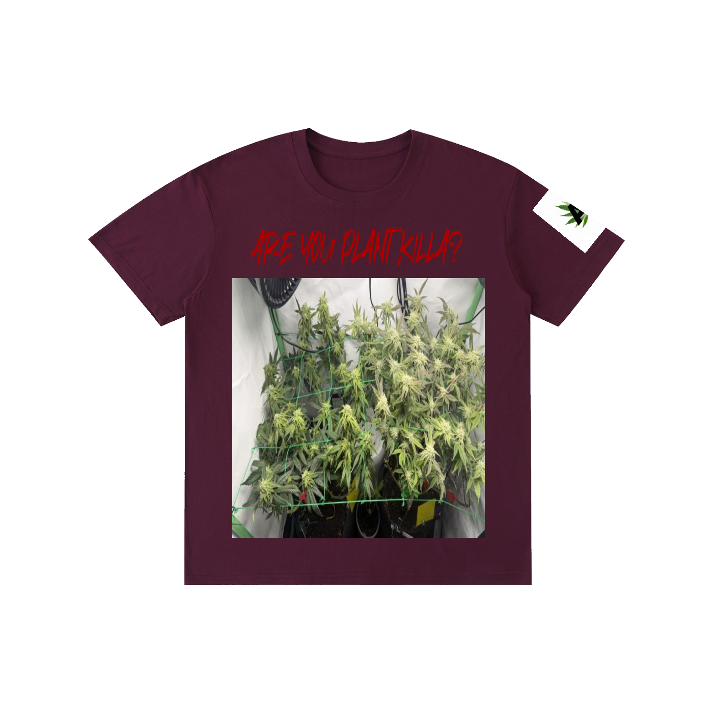Pure Cotton Unisex T-Shirt