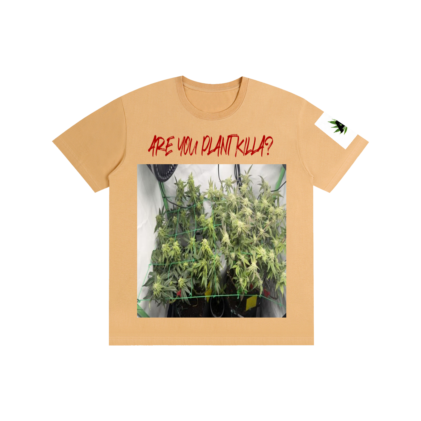 Pure Cotton Unisex T-Shirt