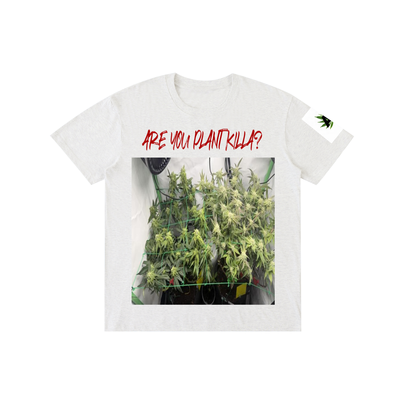 Pure Cotton Unisex T-Shirt