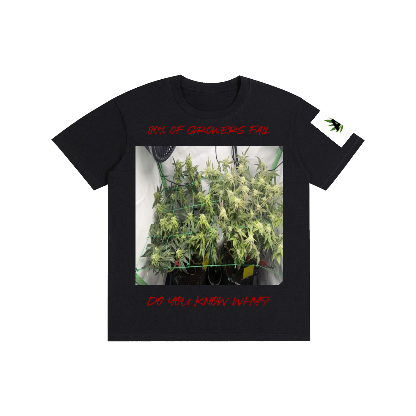 Pure Cotton Unisex T-Shirt
