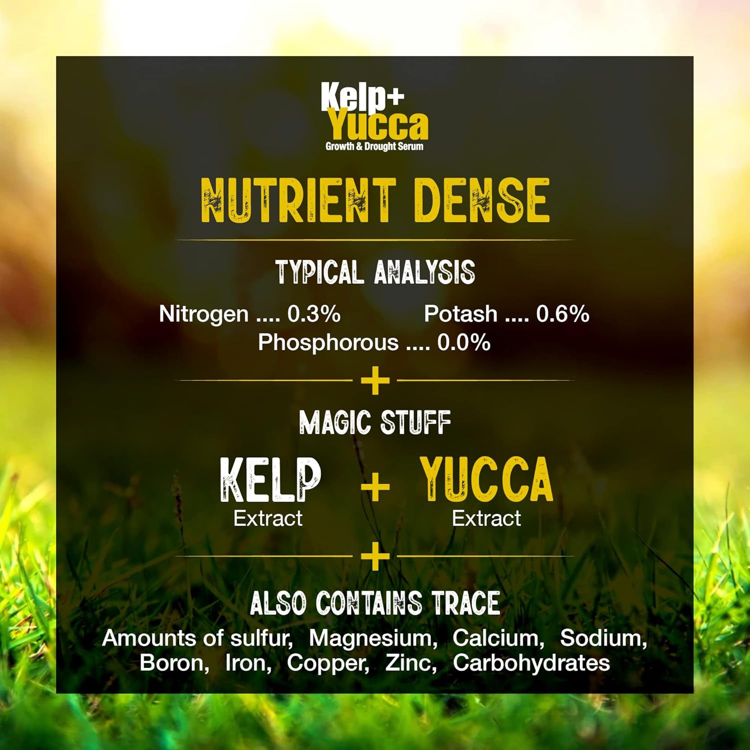 Kelp + Yucca – Soil Moisture & Root Enhancer | GS Plant Foods