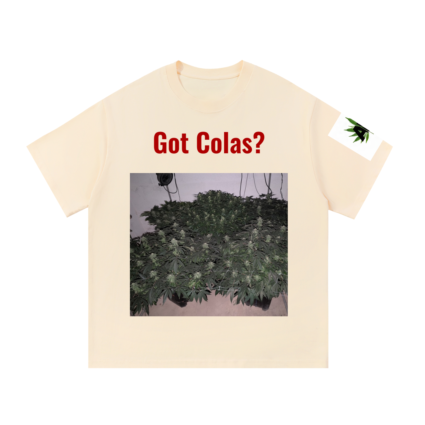 Essential Cotton T-Shirt