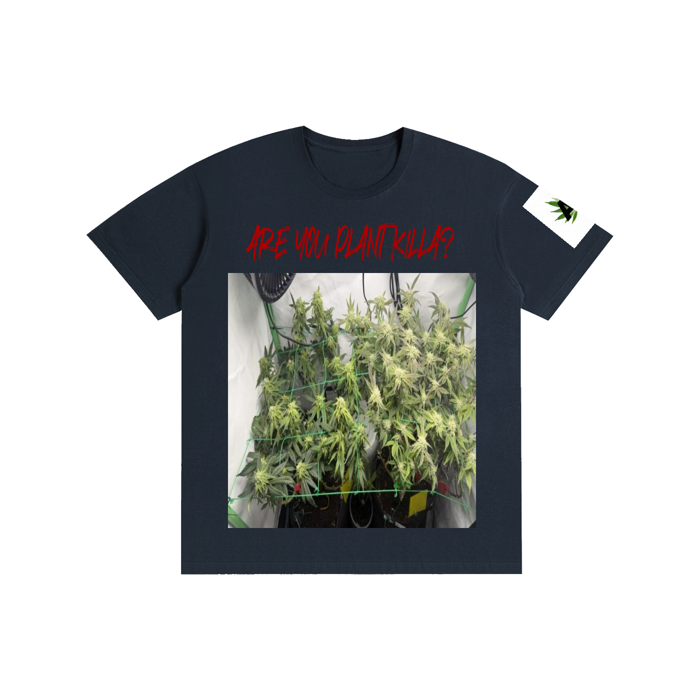Pure Cotton Unisex T-Shirt