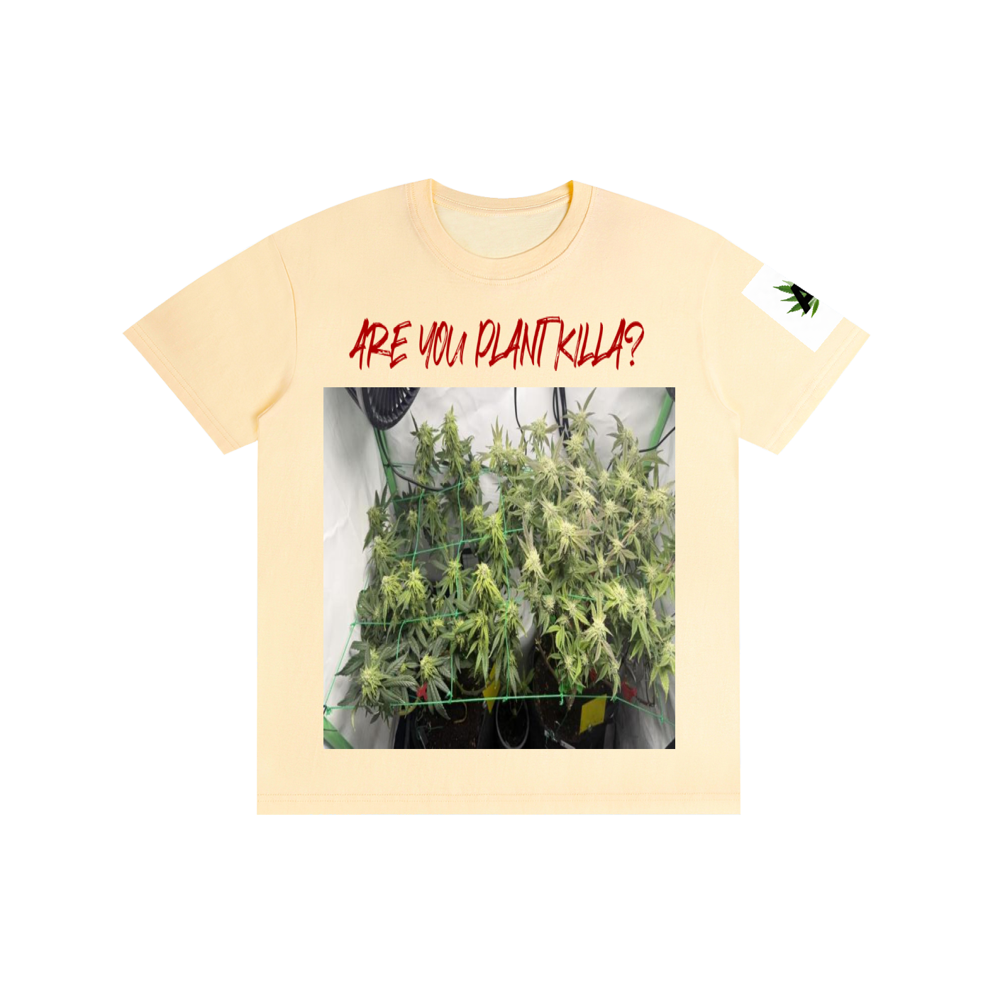 Pure Cotton Unisex T-Shirt