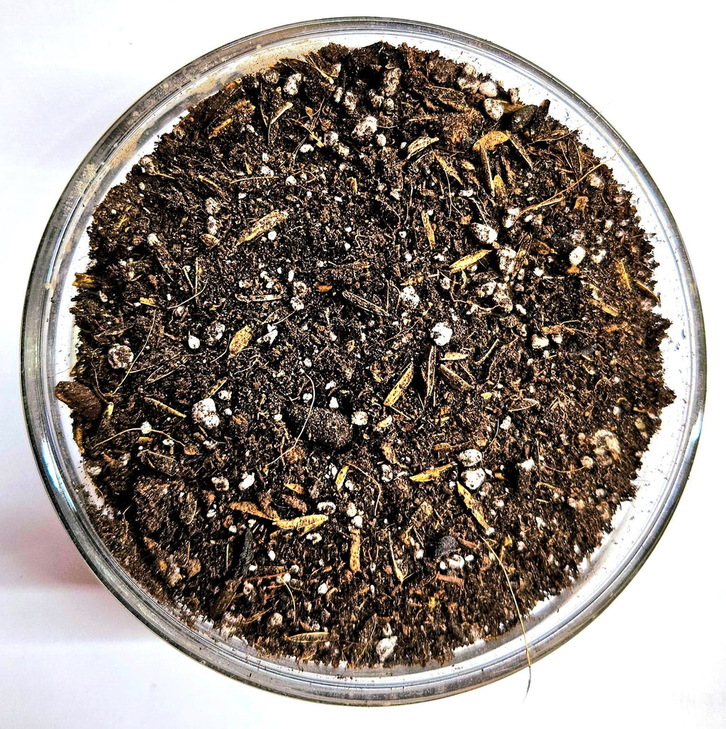 Organic Gardening