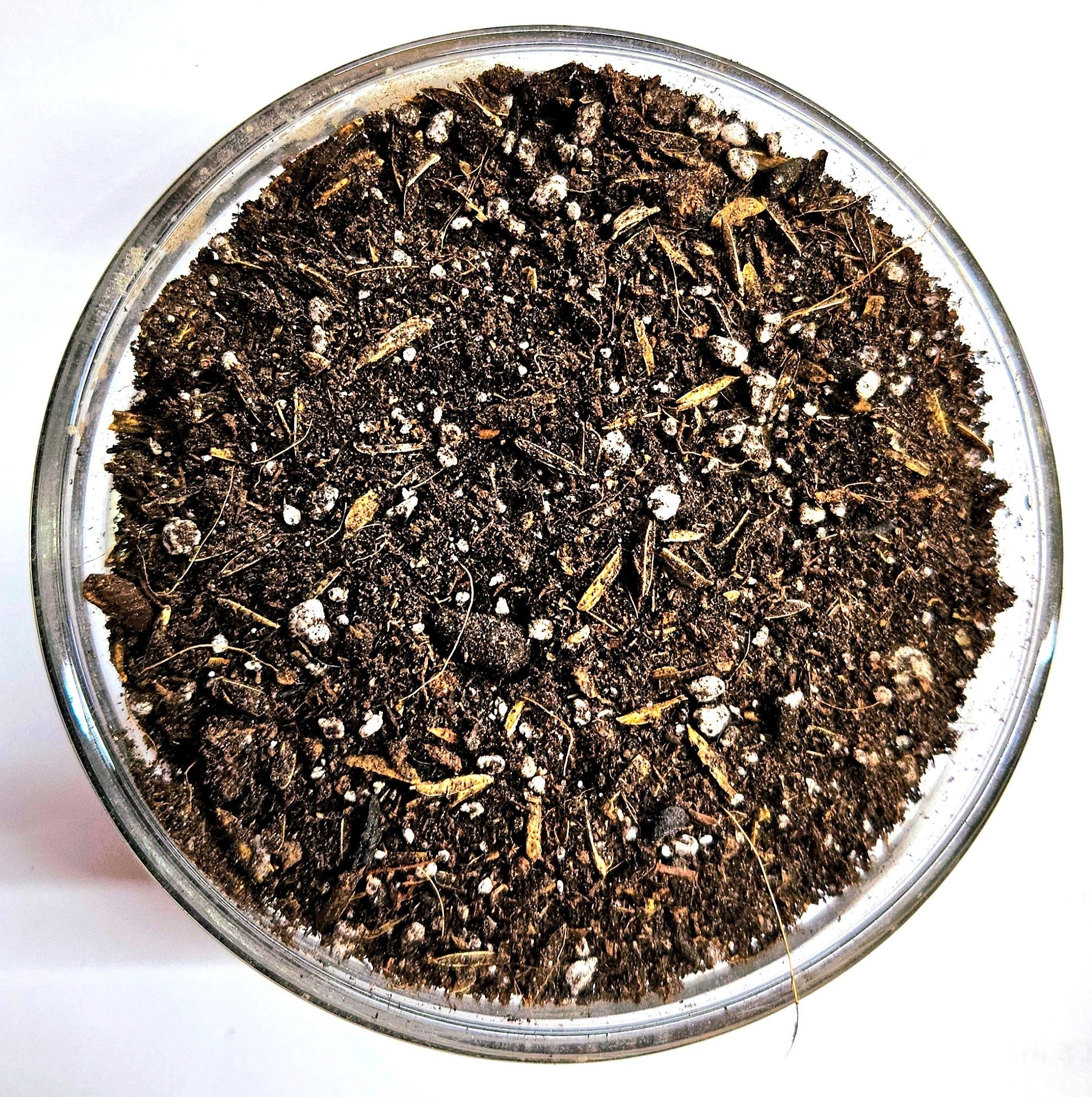 Organic Gardening