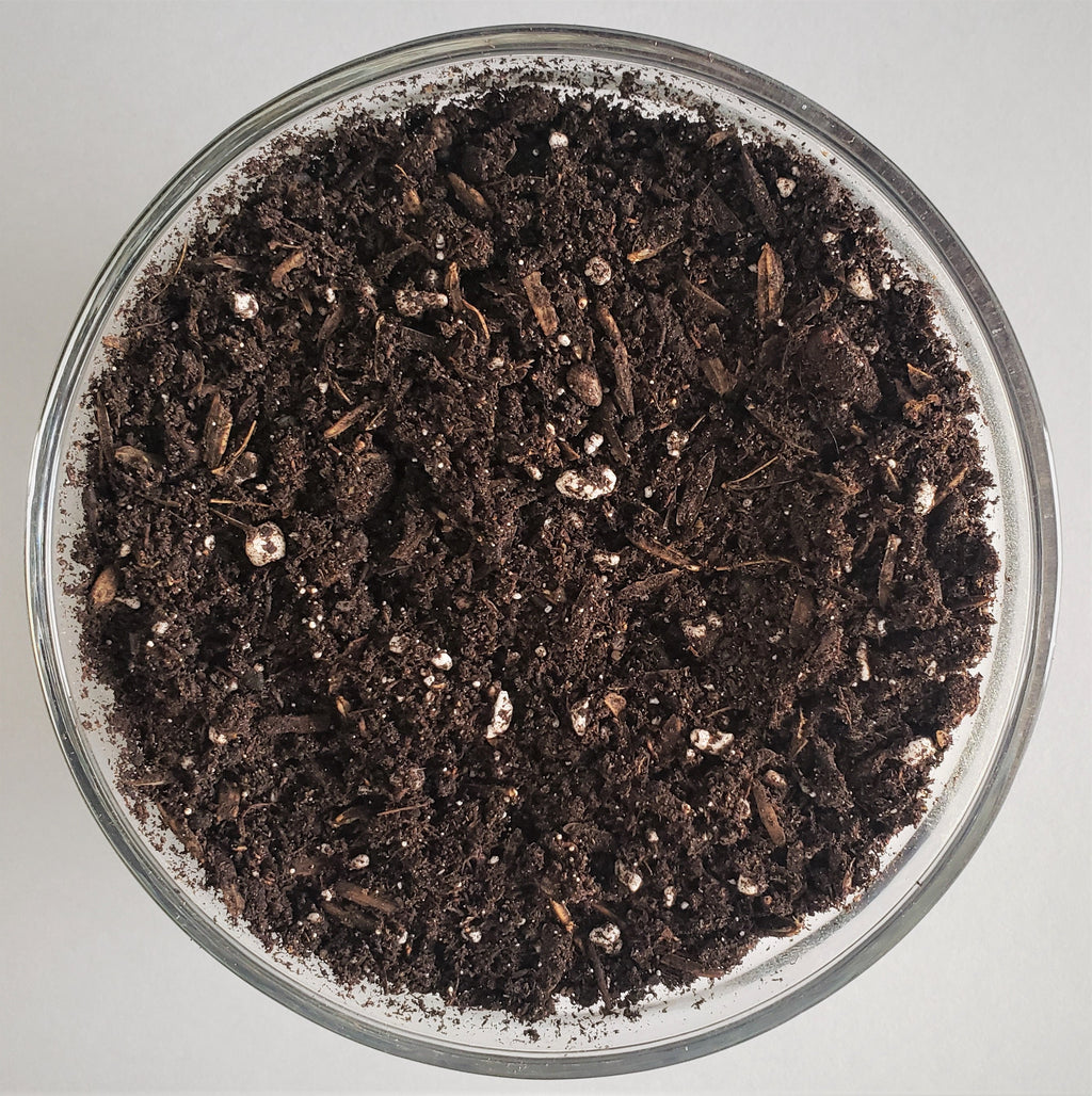 Organic Gardening