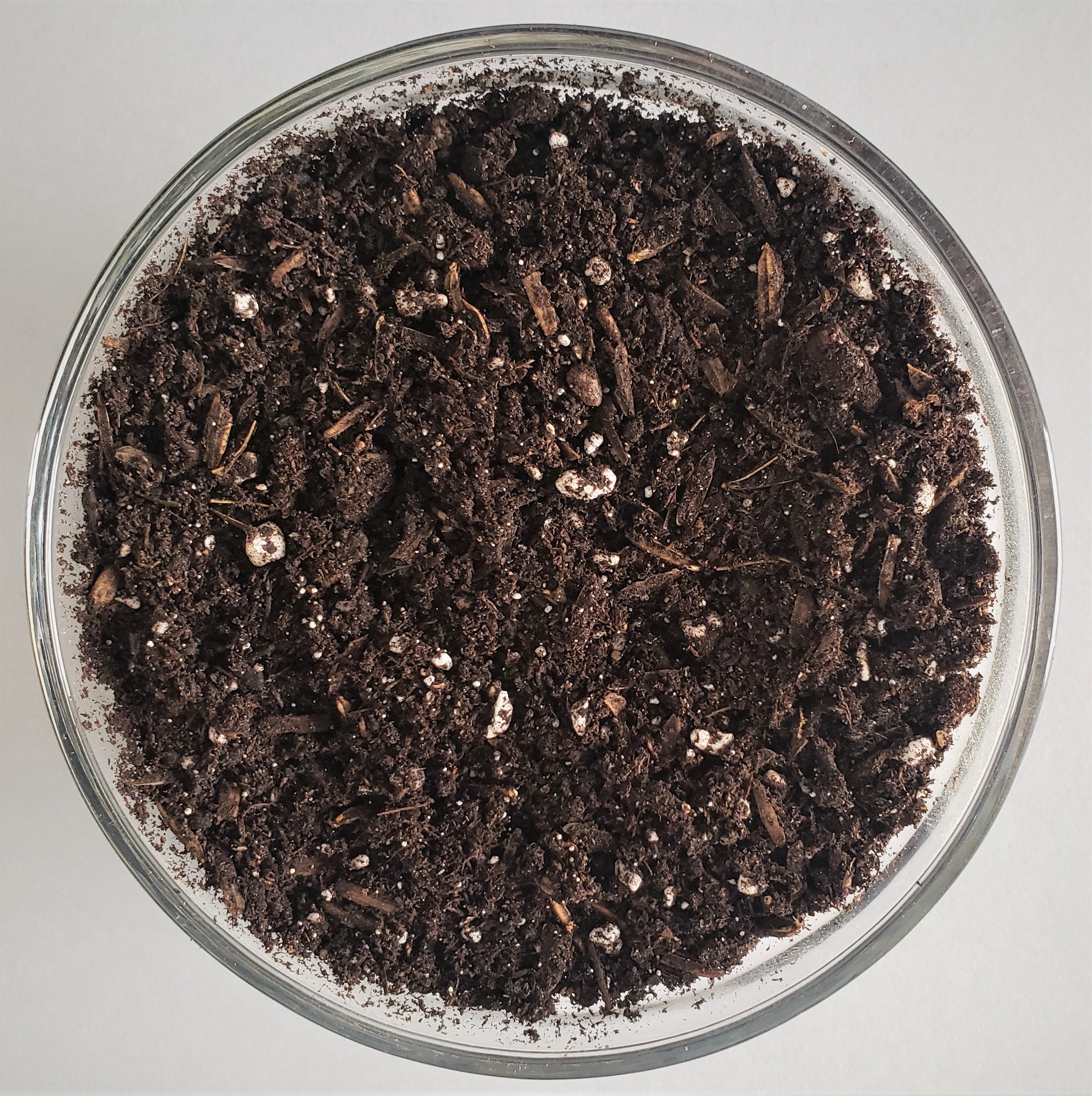 Organic Gardening