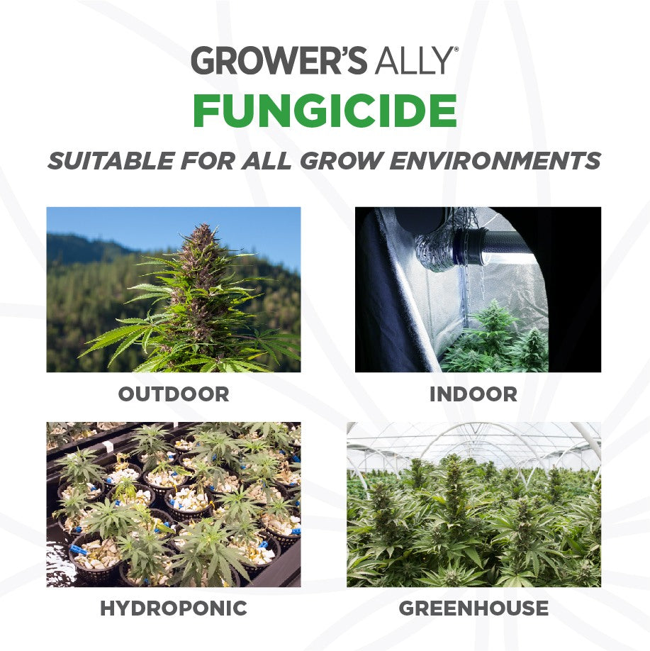 Grower's Ally Fungicide 1 Gallon Concentrate