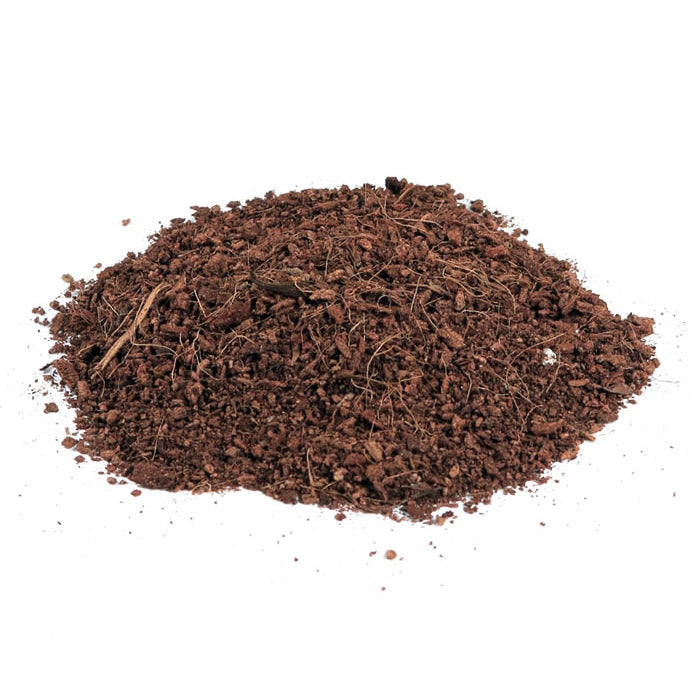 Root Royale Coco Brick RHP Certified 5KG