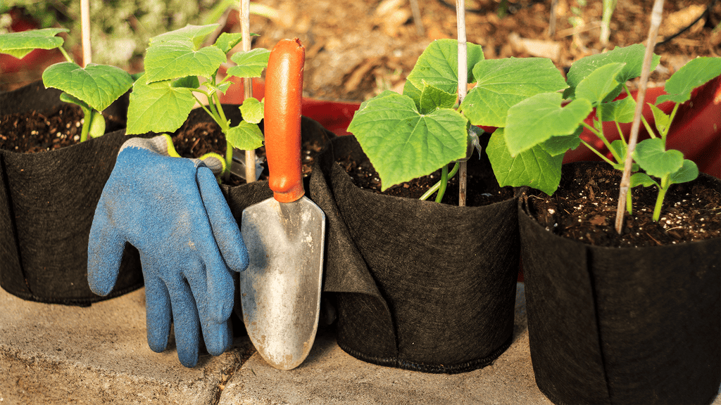 Smart Pot Transplanter