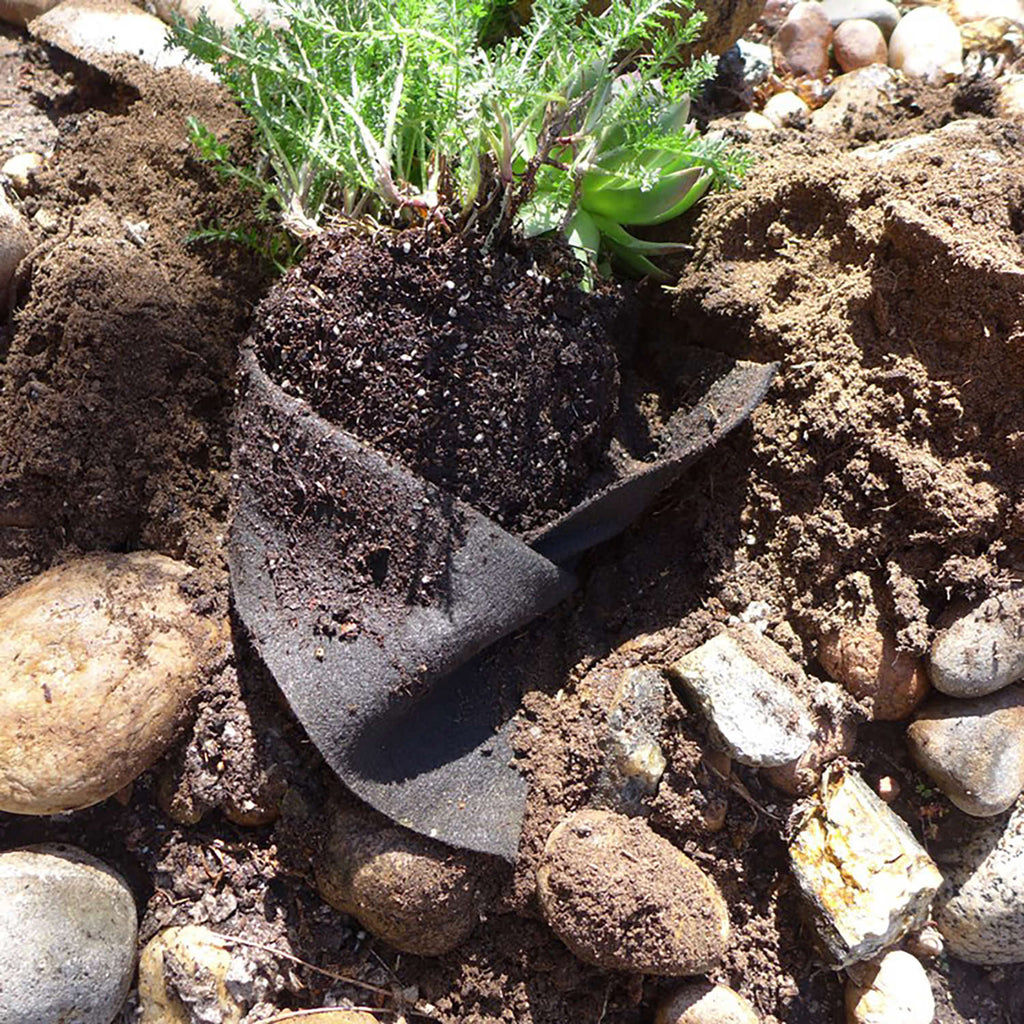 Smart Pot Transplanter