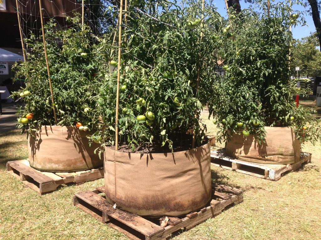 Smart Pot Fabric Planter