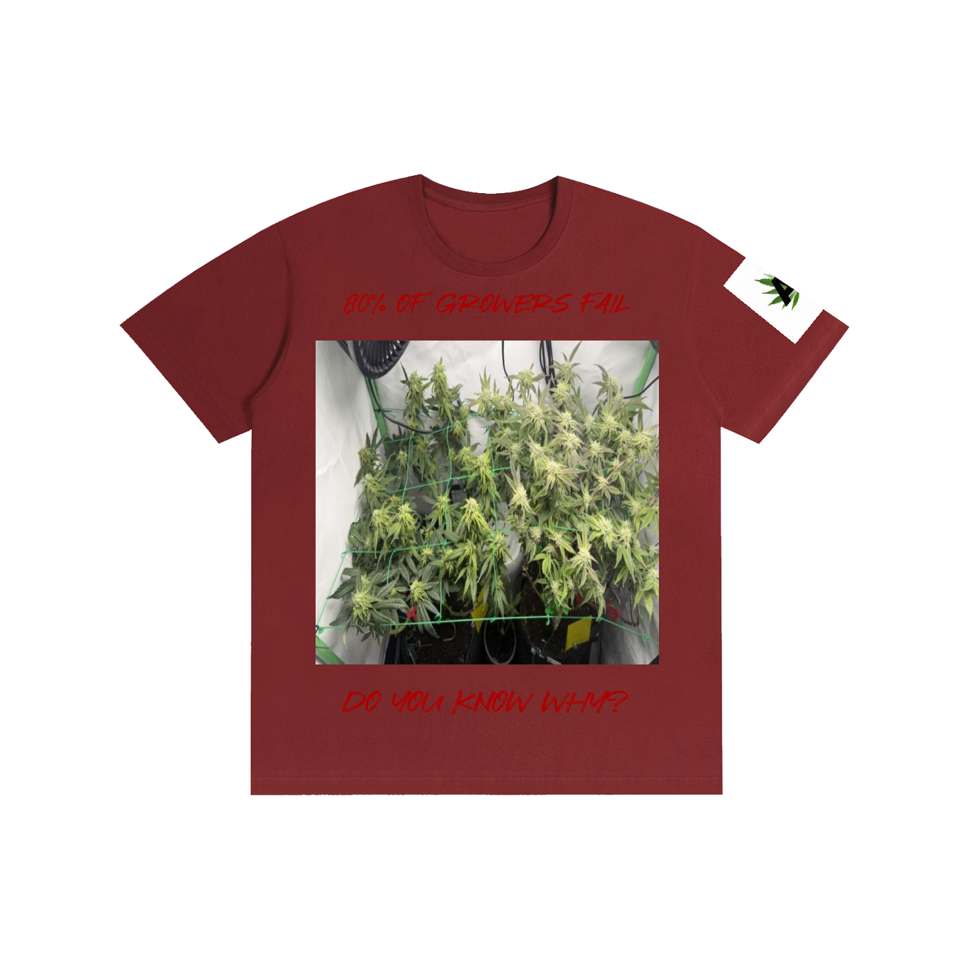 Pure Cotton Unisex T-Shirt