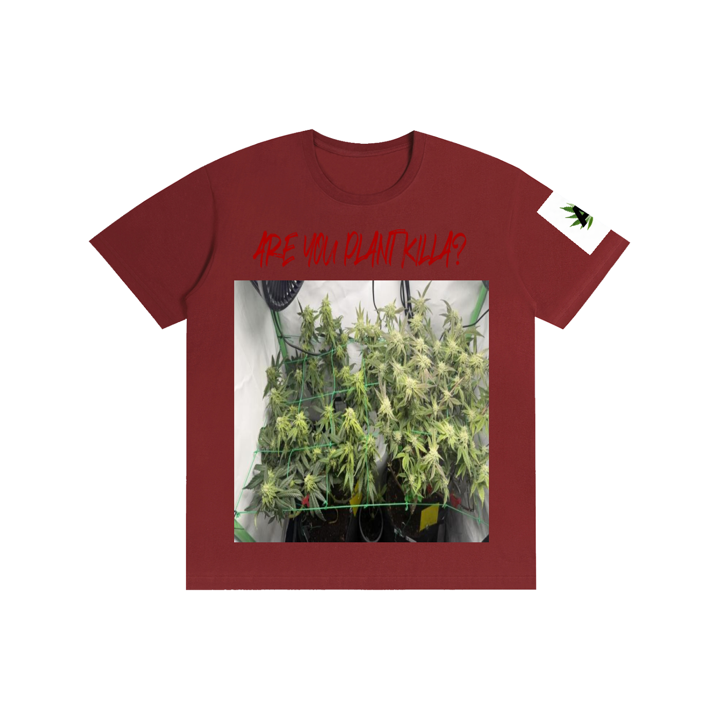 Pure Cotton Unisex T-Shirt