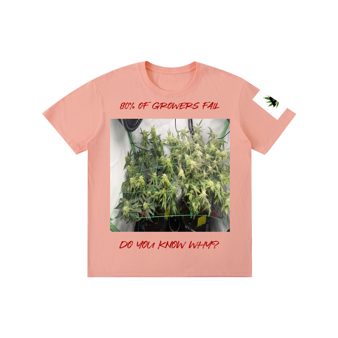 Pure Cotton Unisex T-Shirt