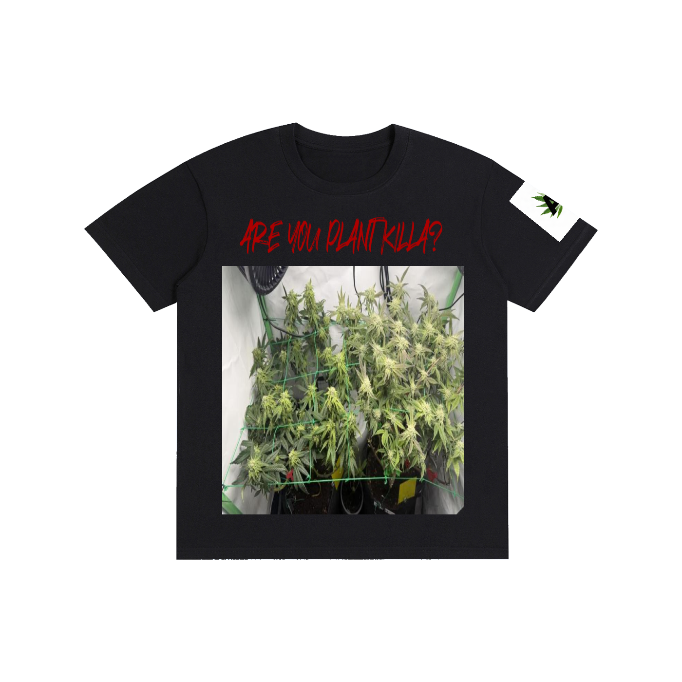 Pure Cotton Unisex T-Shirt