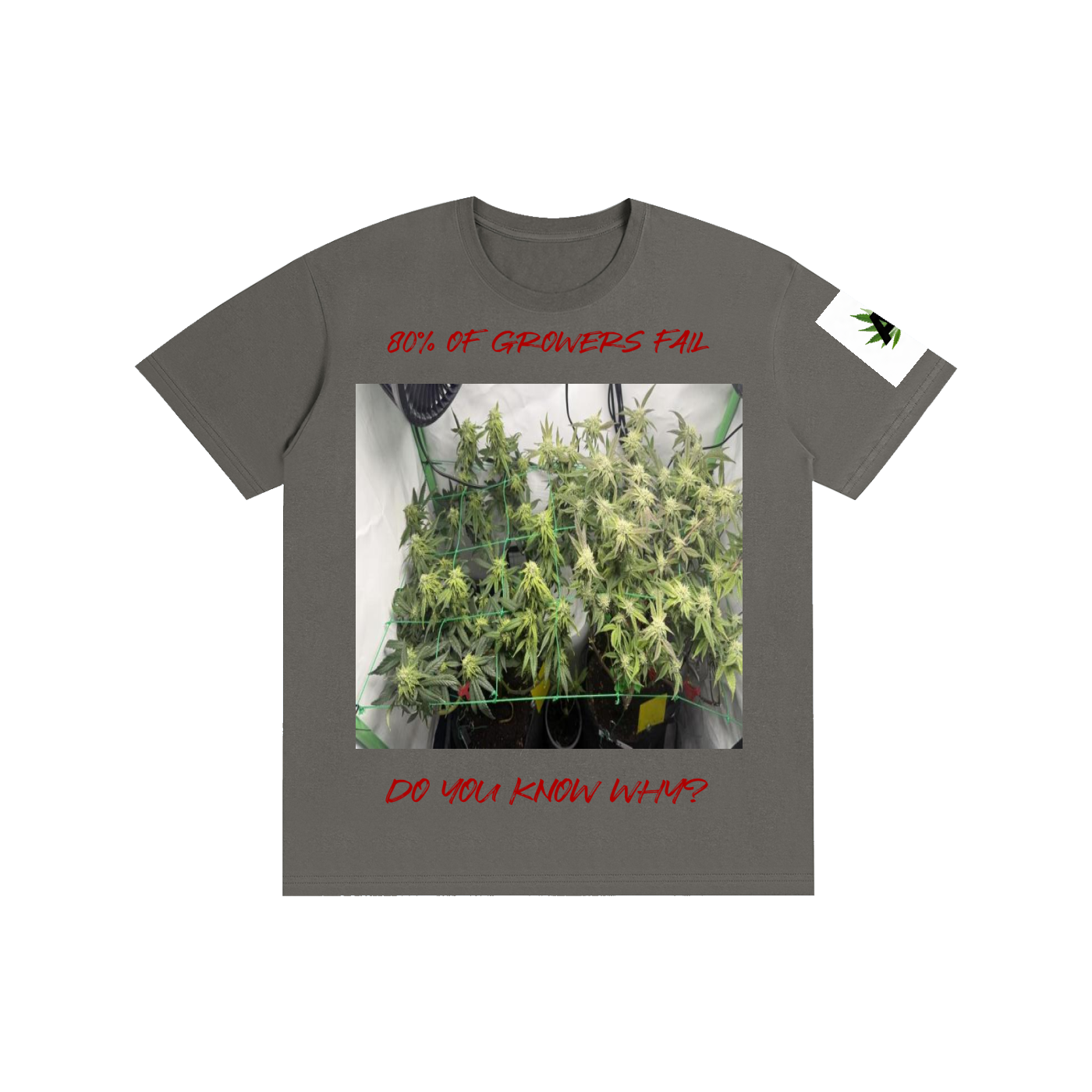 Pure Cotton Unisex T-Shirt