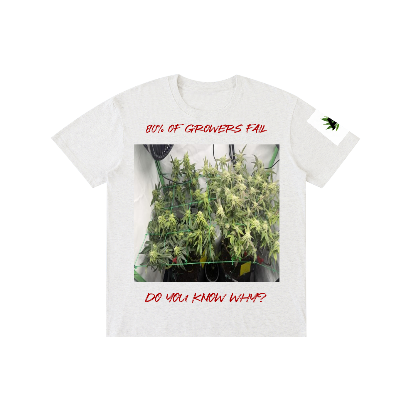 Pure Cotton Unisex T-Shirt