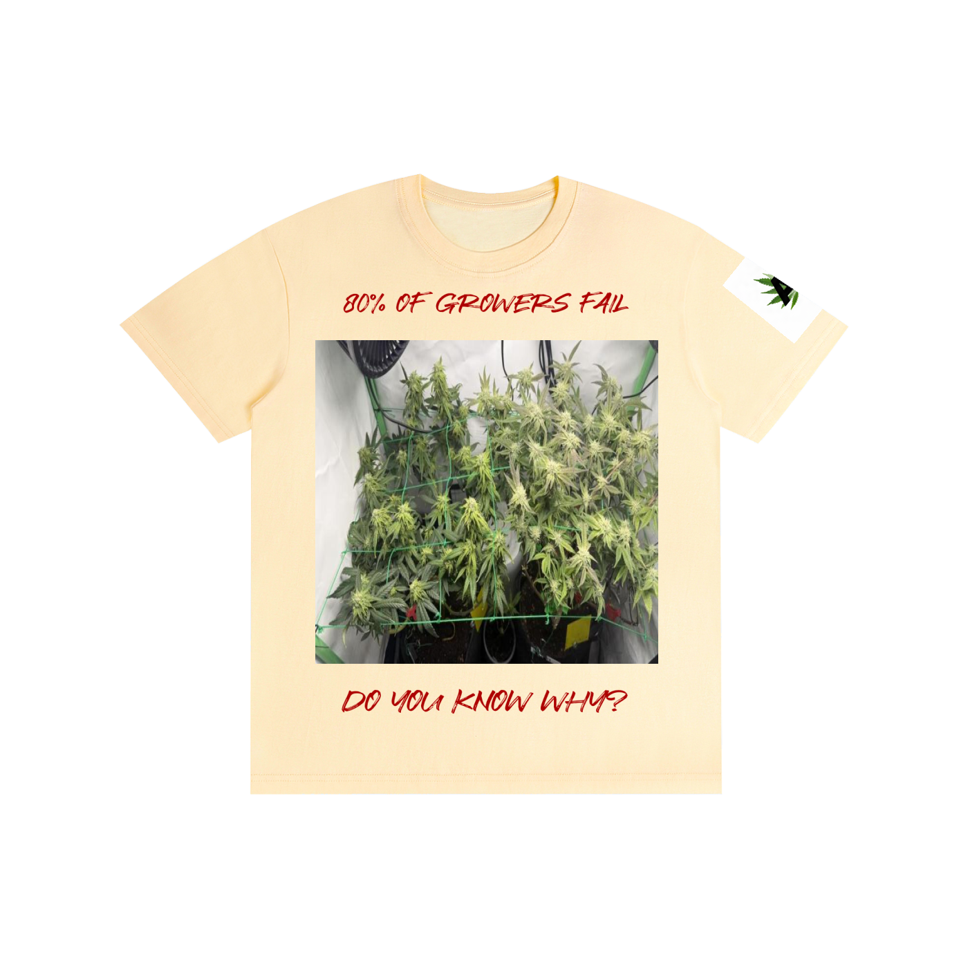 Pure Cotton Unisex T-Shirt