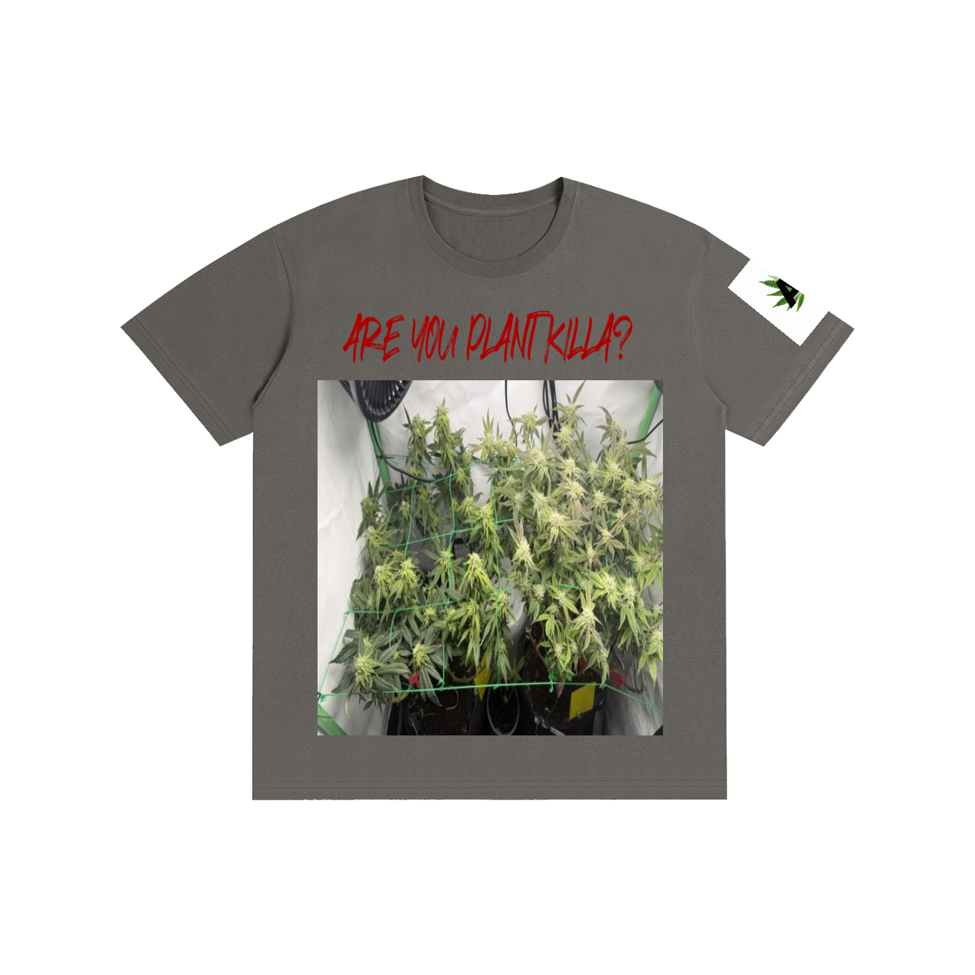Pure Cotton Unisex T-Shirt