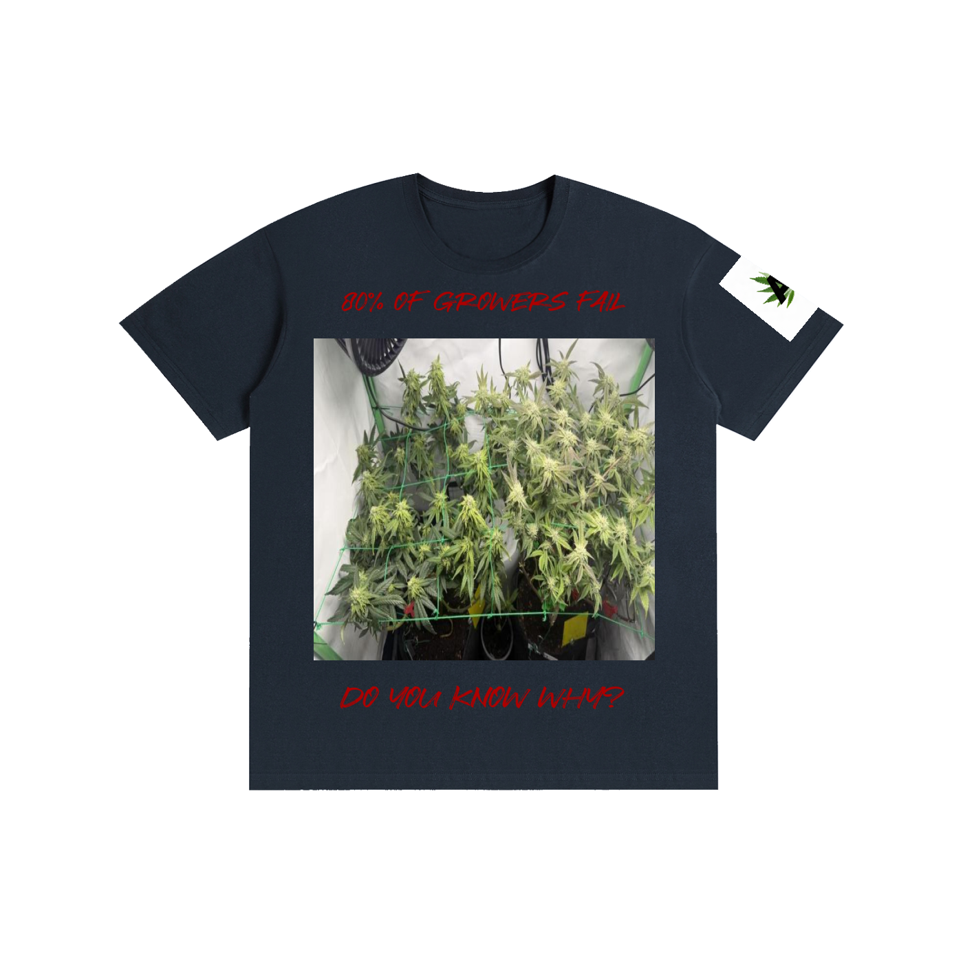 Pure Cotton Unisex T-Shirt
