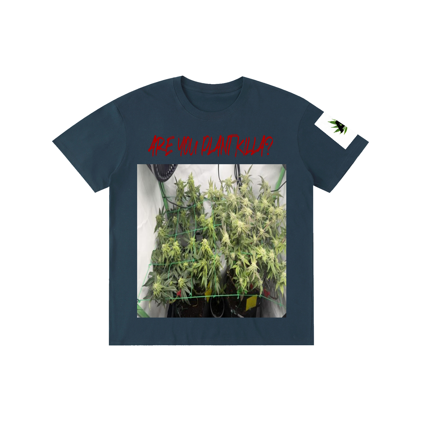 Pure Cotton Unisex T-Shirt