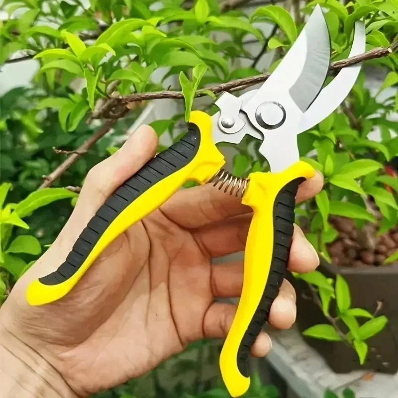 Horticultural Scissors | Bird Beak Pruning Shears for Garden and Fruit Cutting