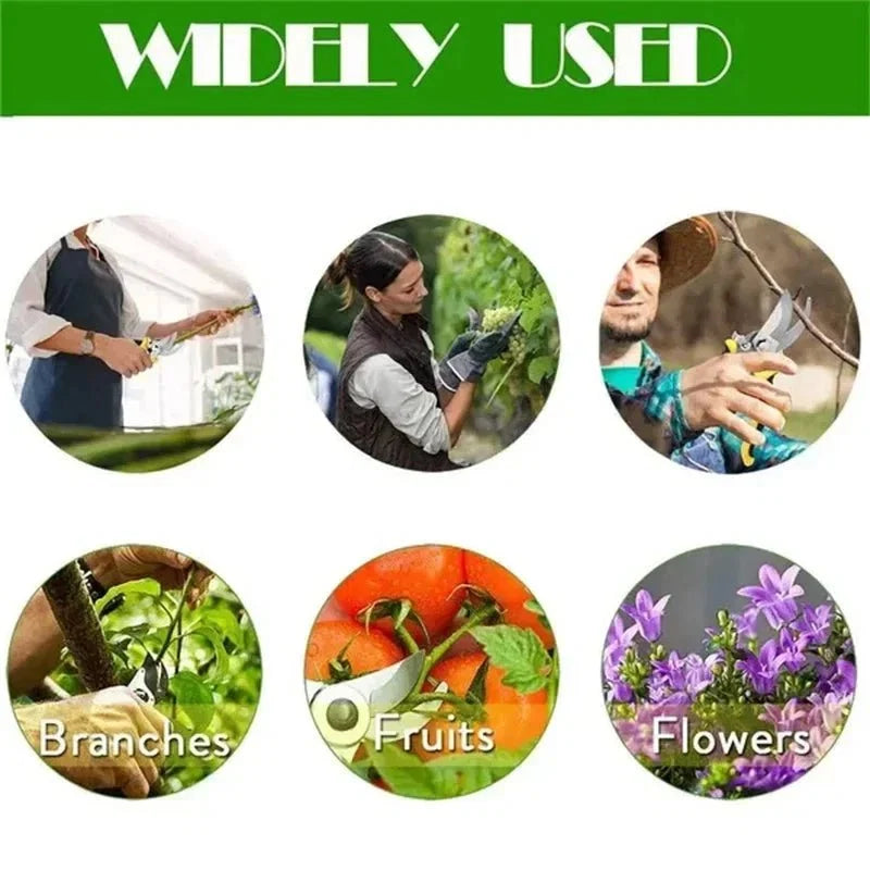Horticultural Scissors | Bird Beak Pruning Shears for Garden and Fruit Cutting