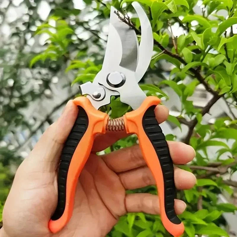 Horticultural Scissors | Bird Beak Pruning Shears for Garden and Fruit Cutting