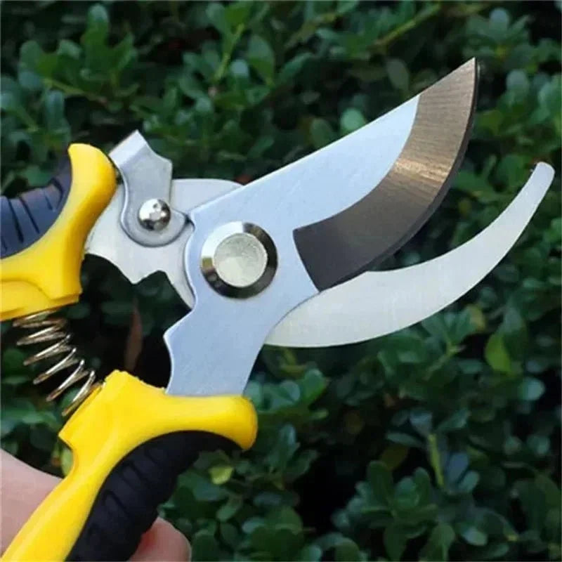 Horticultural Scissors | Bird Beak Pruning Shears for Garden and Fruit Cutting