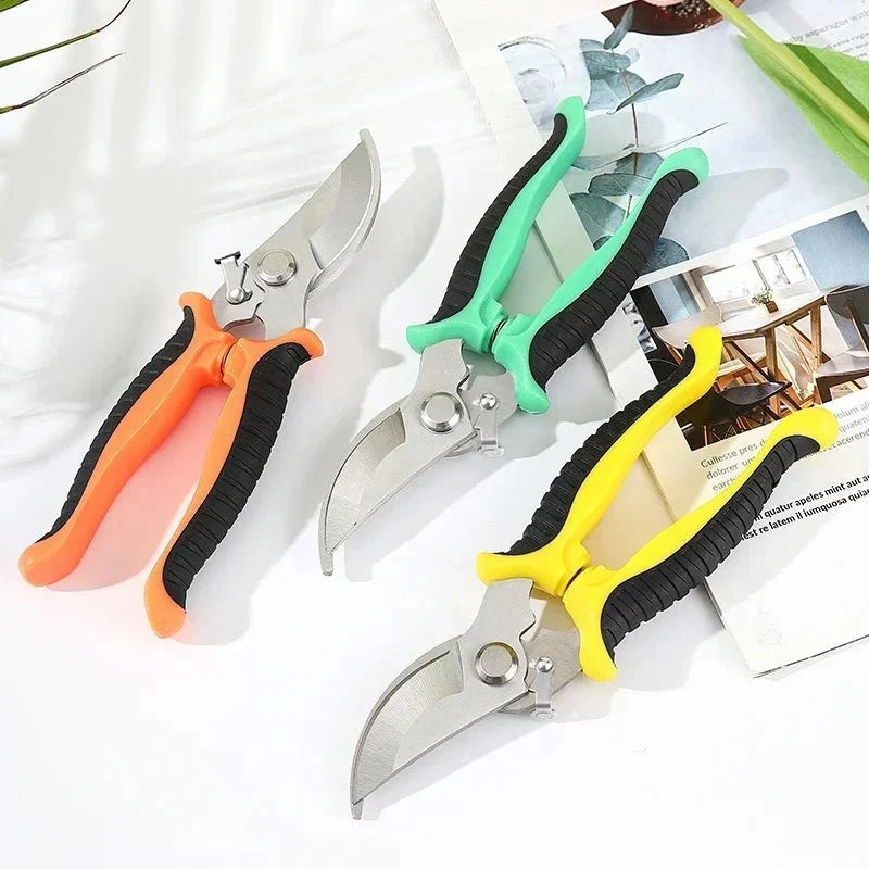Horticultural Scissors | Bird Beak Pruning Shears for Garden and Fruit Cutting