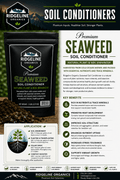 Ridgeline Organics Soluble Kelp Extract